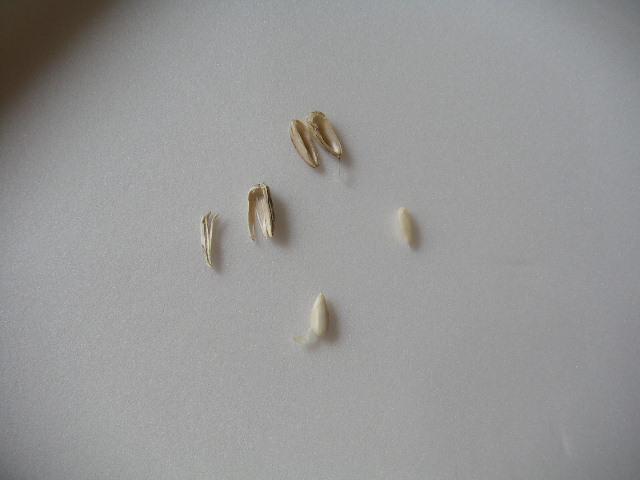 a0020929_10464695.jpg