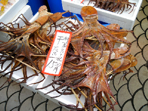 タコの干物が、おせんべいのように延ばされて、凧状になっています。タコの凧ですね~。