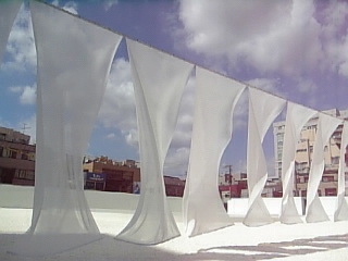 f0095132_041746.jpg