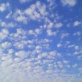 a0013236_22203368.jpg