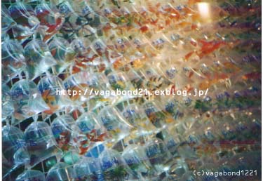 e0054842_22542422.jpg