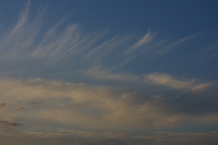 e0086642_6522140.jpg