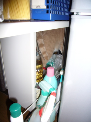 e0058443_112367.jpg