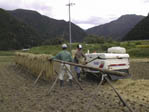 b0028347_18882.jpg