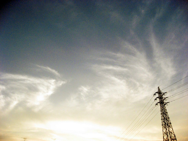 b0097747_8335719.jpg