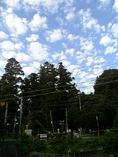 d0094056_945496.jpg
