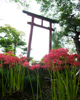 f0072560_17101439.jpg