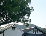f0072560_17121340.jpg