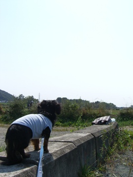 d0071269_18175184.jpg