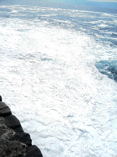 c0025471_9153349.jpg