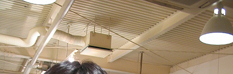 d0085371_4261277.jpg
