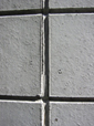 d0093672_226162.jpg