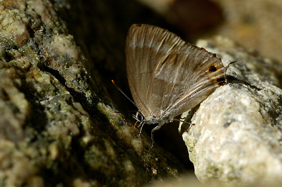 f0090680_054044.jpg