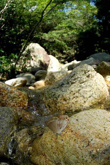 f0090680_06441.jpg