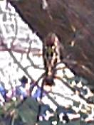 f0001781_13364917.jpg