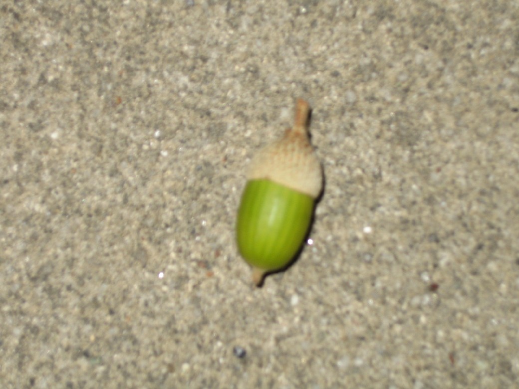 b0074782_209554.jpg