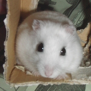 b0016983_6145540.jpg