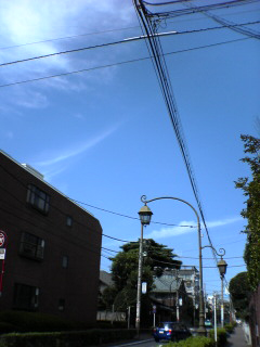 d0092990_0312392.jpg
