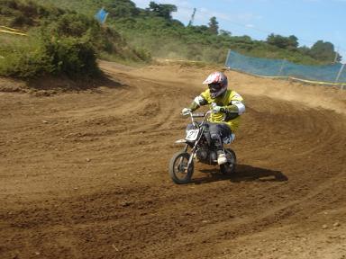 d0090192_23386.jpg