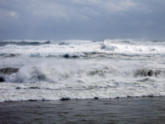 a0061594_0391929.jpg