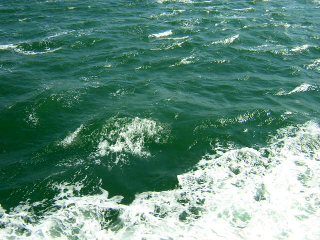 b0013897_21414047.jpg