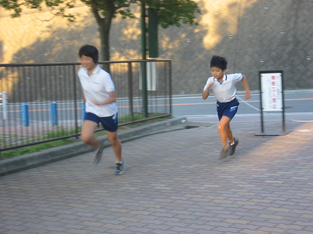 f0013998_50556.jpg