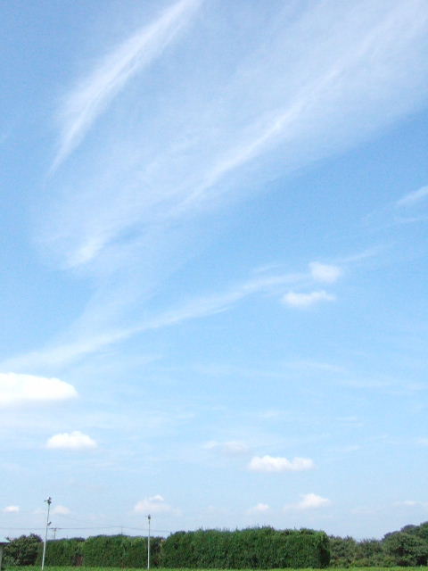 f0056698_1016223.jpg