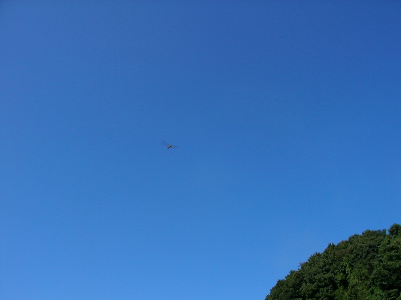 b0092300_119122.jpg