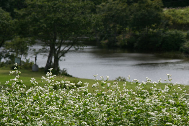 a0067201_21384816.jpg