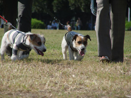 f0080105_17775.jpg