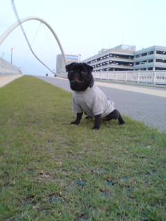 a0074110_16125395.jpg