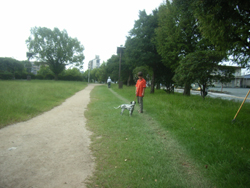 e0056411_23231483.jpg