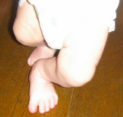 c0079312_2029251.jpg