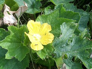 e0026017_2373231.jpg