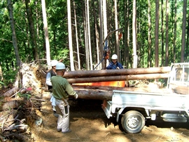 e0002820_20485080.jpg