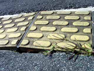 e0083820_12521270.jpg