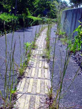 e0083820_184448.jpg