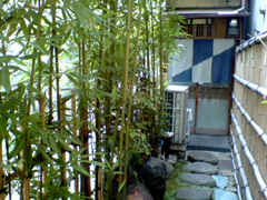 a0005321_0372126.jpg