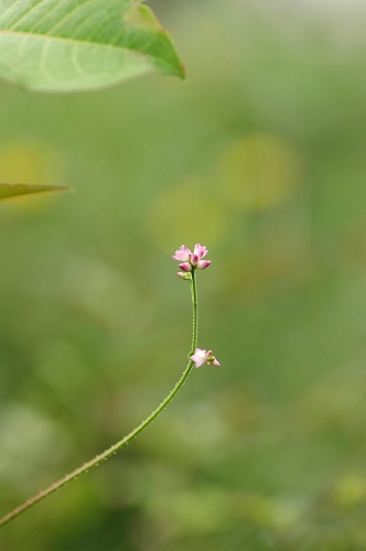 c0027027_1595653.jpg