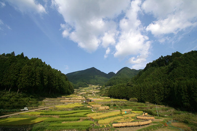 e0025930_2213042.jpg