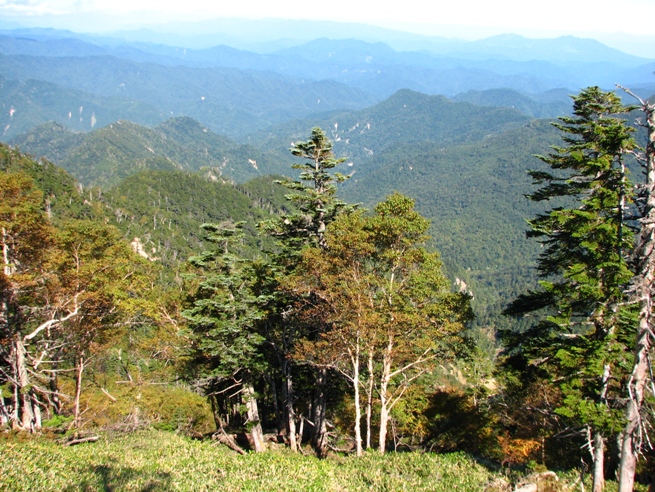 b0097836_0211055.jpg