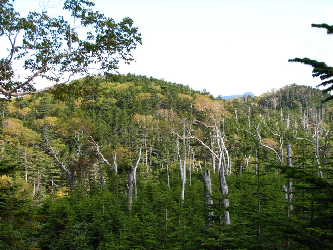 b0097836_0215516.jpg