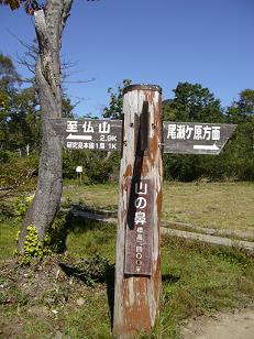 f0065941_0161997.jpg