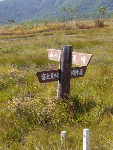 f0065941_026568.jpg