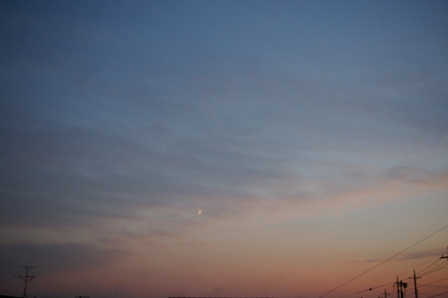 e0086642_1826043.jpg