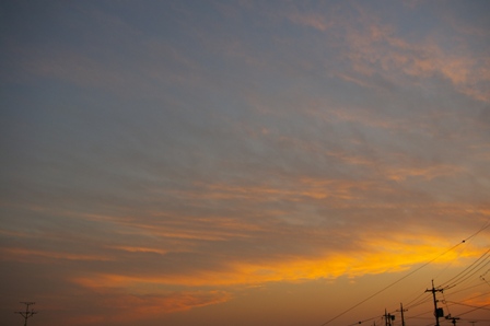 e0086642_1832550.jpg