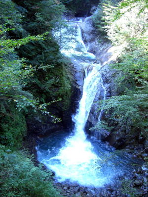 f0094843_071026.jpg
