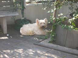 c0004744_2293530.jpg