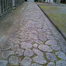 e0069646_18592470.jpg