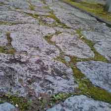 e0069646_190059.jpg